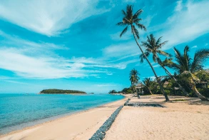 carousel